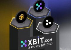 特斯拉CEO马斯克退出DOGE挖矿XBIT隐私与抗审查优势