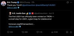 USD1正式登陆波场TRON 引领金融自由新风潮