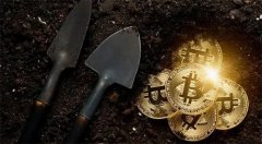 天阳科技：探讨稳定币与信用卡结合应用