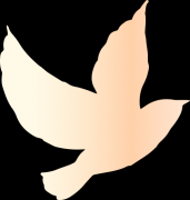 【普法宣传】非法集资犯罪又“翻新”？擦亮双